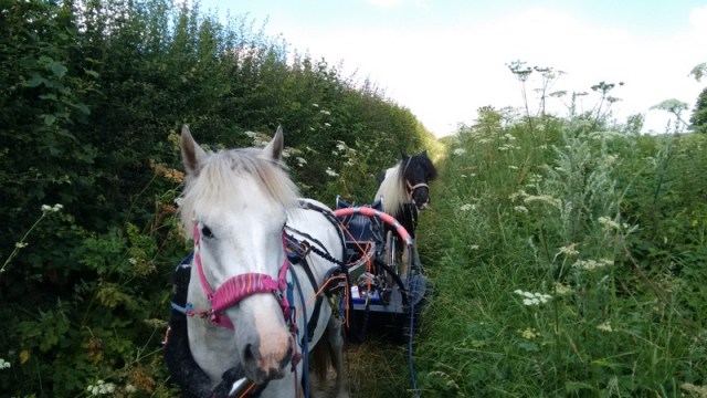 tmp_17580-IMG_20160723_121000353-1631956522