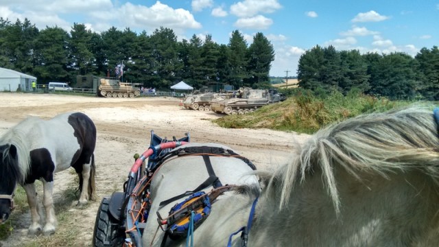 tmp_17580-IMG_20160723_131124089_HDR611965301